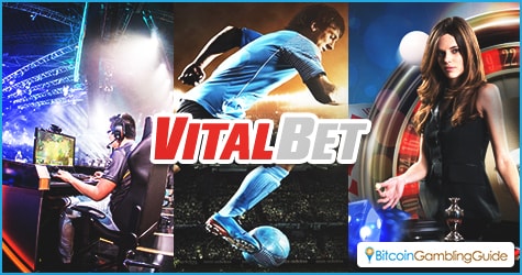 VitalBet